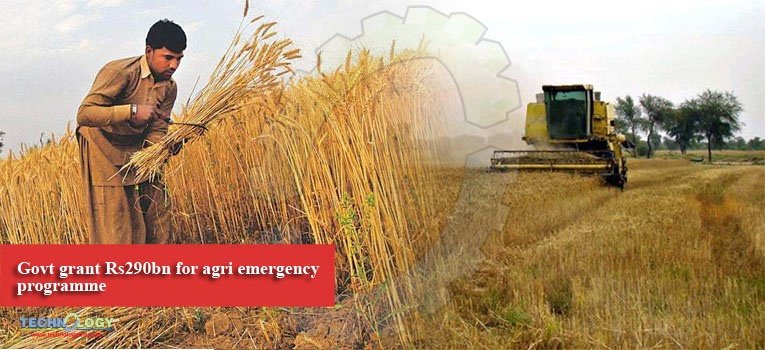 Govt grant Rs290bn for agri emergency programme