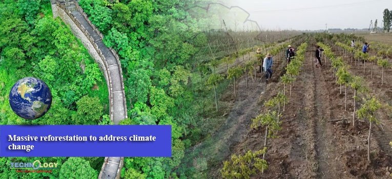 Massive reforestation to address climate change
