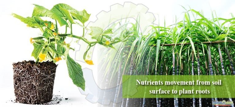 Nutrients movement from soil surface to plant roots