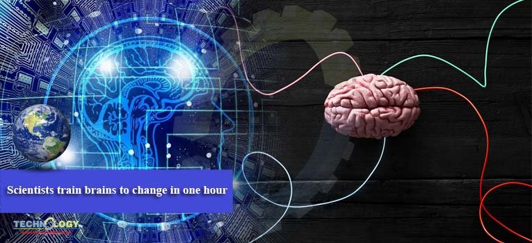 Scientists train brains to change in one hour