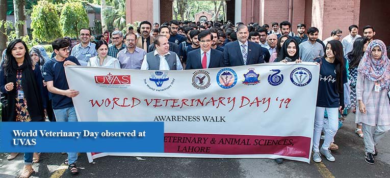 World Veterinary Day observed at UVAS