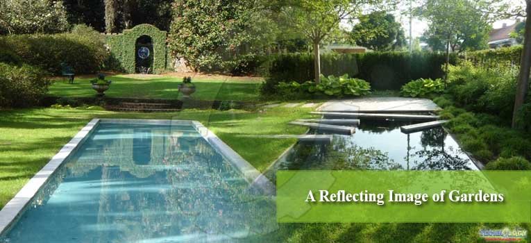 A Reflecting Image of Gardens