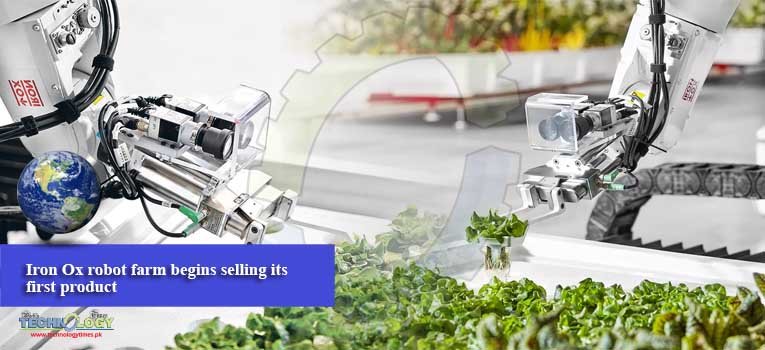 Iron Ox robot farm begins selling its first product