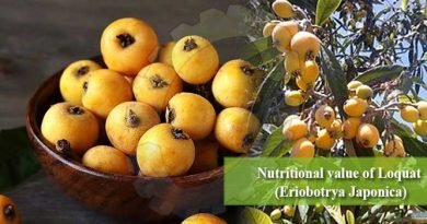 Nutritional value of Loquat (Eriobotrya Japonica)