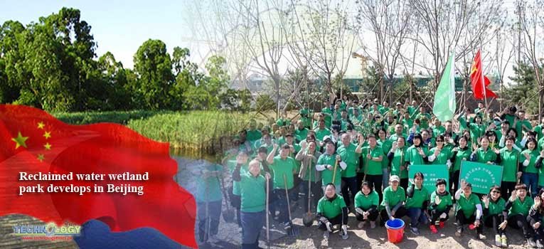 Reclaimed water wetland park develops in Beijing