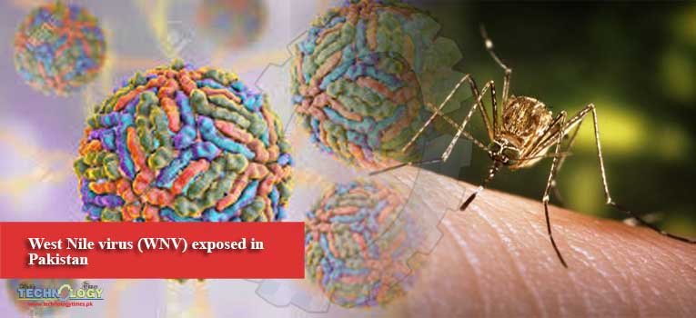 West Nile virus (WNV) exposed in Pakistan