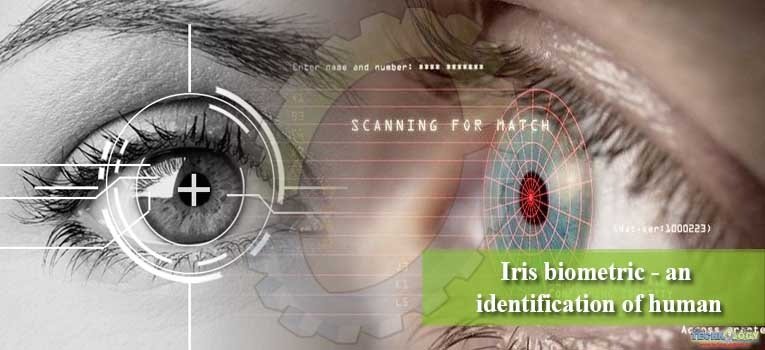 Iris biometric - an identification of human