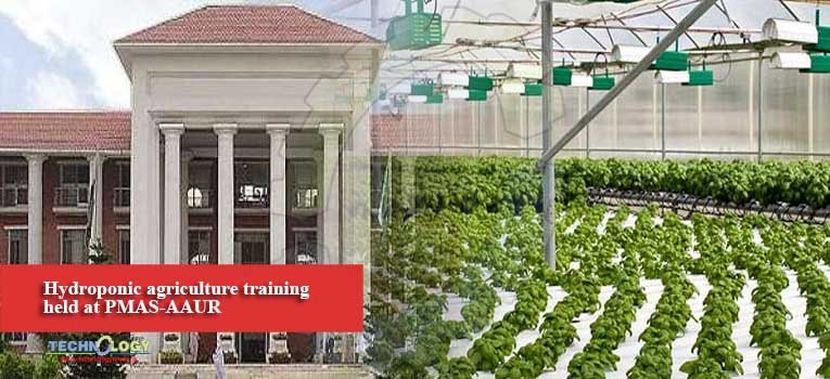 Hydroponic agriculture training held at PMAS-AAUR