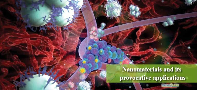 Nanomaterials and its provocative applications