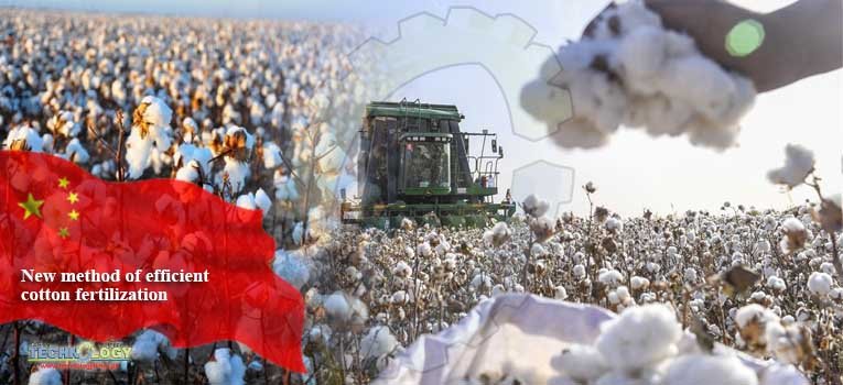 New method of efficient cotton fertilization