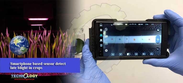 Smartphone based sensor detect late blight in crops