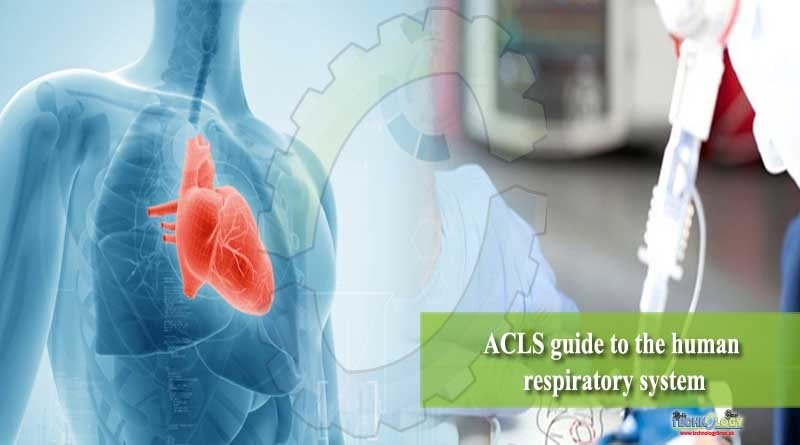 ACLS guide to the human respiratory system