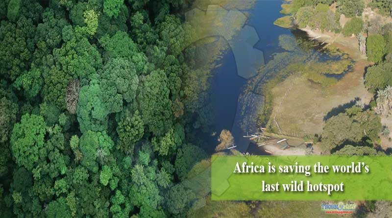 Africa is saving the world’s last wild hotspot