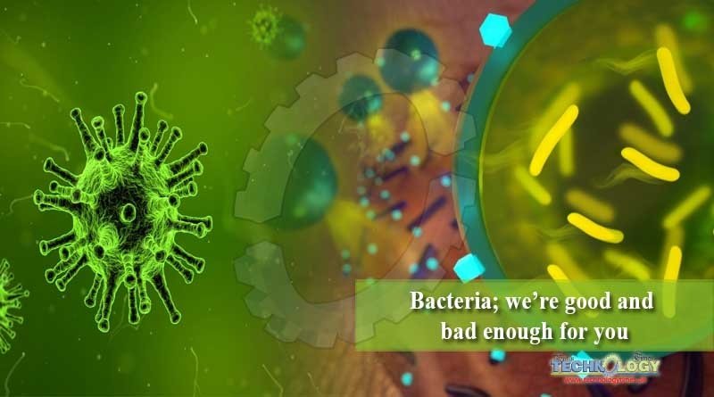 Bacteria; we’re good and bad enough for you