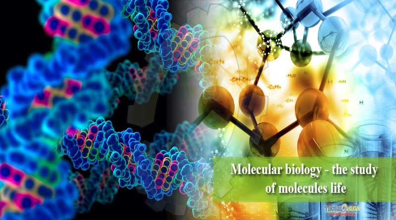 Molecular biology - the study of molecules life