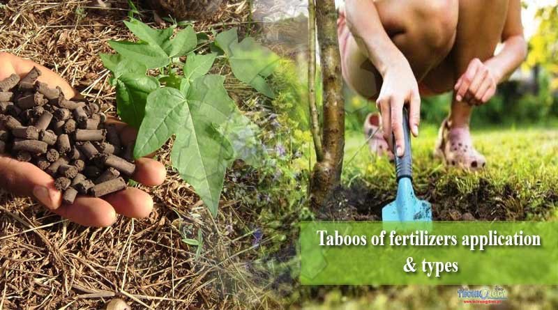 Taboos of fertilizers application & types