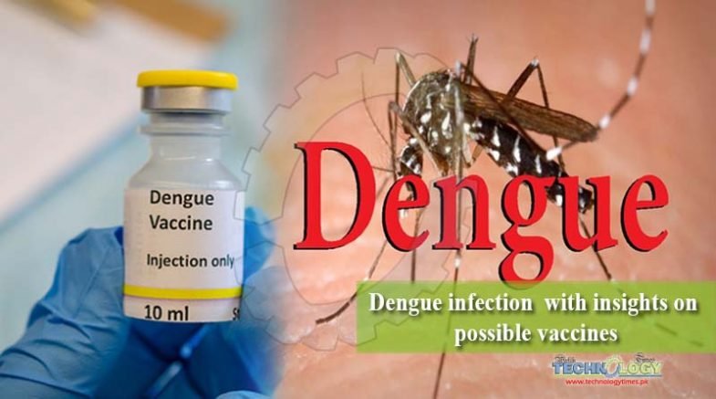 Dengue infection  with insights on possible vaccines