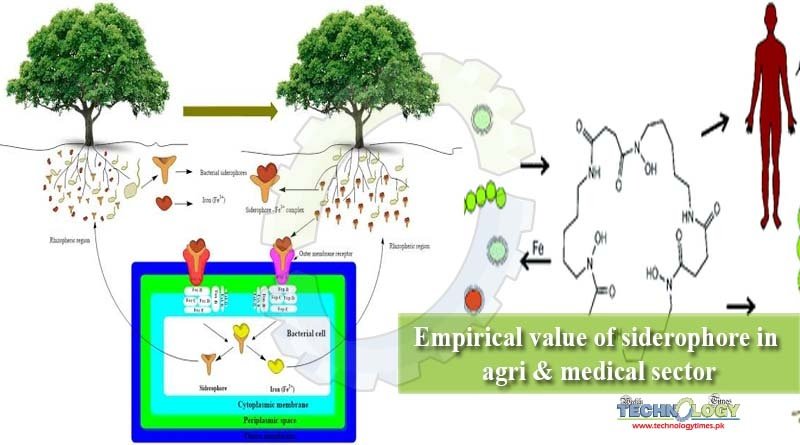 Empirical value of siderophore in agri & medical sector