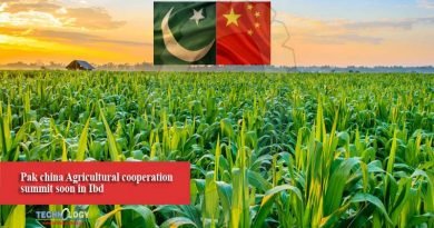 Pak china Agricultural cooperation summit soon in Ibd