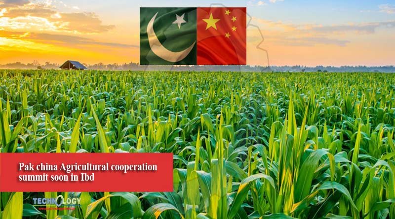 Pak china Agricultural cooperation summit soon in Ibd