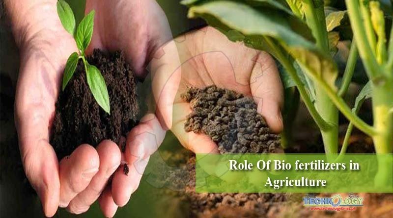 Role Of Bio fertilizers in Agriculture