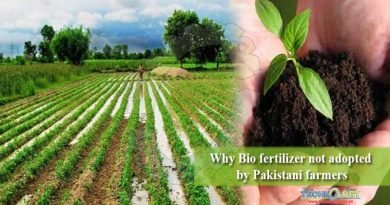 Why Bio fertilizer not adopted by Pakistani farmers