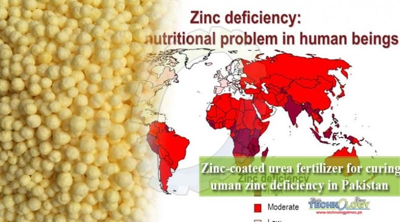 Zinc-coated urea fertilizer for curing human zinc deficiency in Pakistan