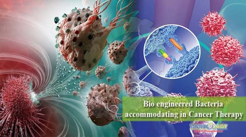 Bio engineered Bacteria accommodating in Cancer Therapy