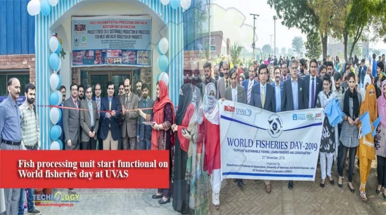 Fish processing unit start functional on World fisheries day at UVAS