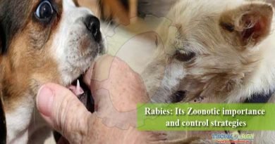 Rabies: Its Zoonotic importance and control strategies