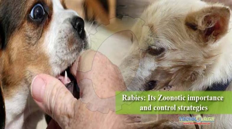 Rabies: Its Zoonotic importance and control strategies