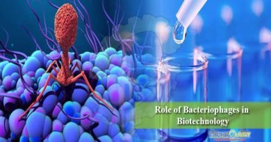 Role of Bacteriophages in Biotechnology