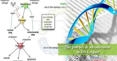 The journey & advancement in DNA repair