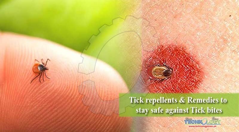 Tick repellents & Remedies to stay safe against Tick bites