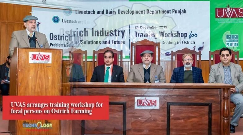 UVAS arranges training workshop for focal persons on Ostrich Farming