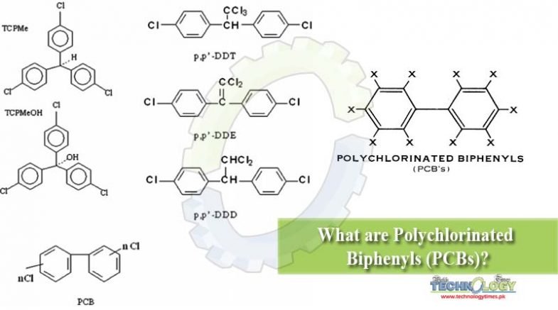What are Polychlorinated Biphenyls (PCBs)?