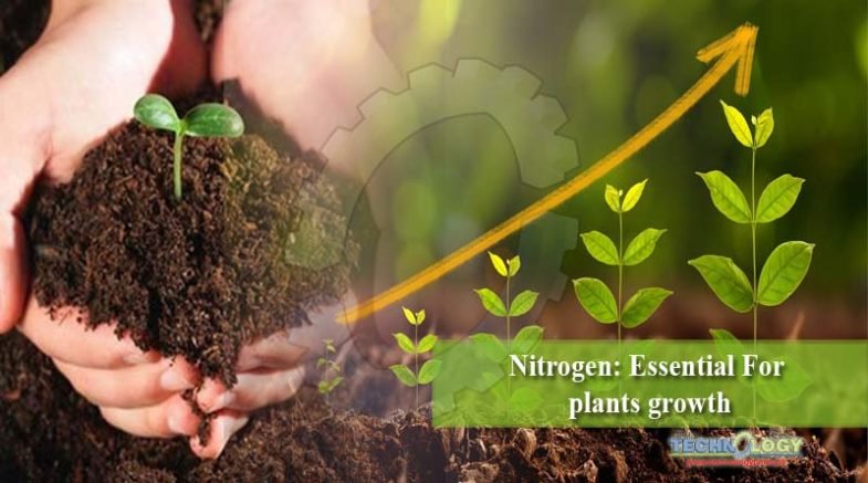 Nitrogen: Essential For plants growth