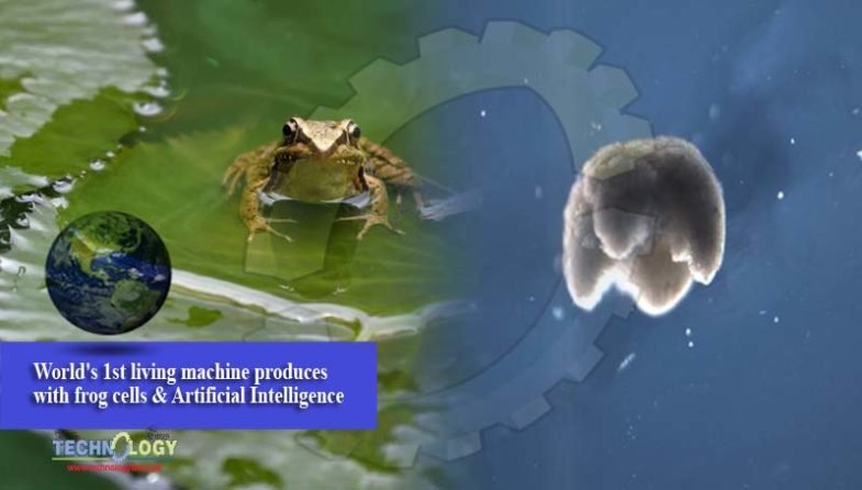 World's 1st living machine produces with frog cells & Artificial Intelligence