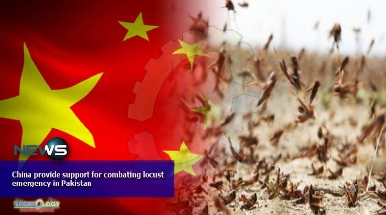 China provide support for combating locust emergency in Pakistan