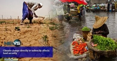 Climate change directly or indirectly affects food security