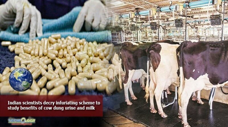 Indian-scientists-decry-infuriating-scheme-to-study-benefits-of-cow-dung-urine-and-milk