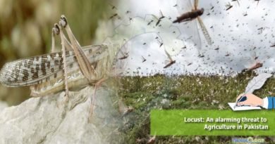 Locust: An alarming threat to Agriculture in Pakistan