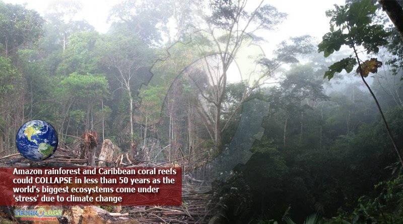 Amazon-rainforest-and-Caribbean-coral-reefs-could-COLLAPSE-in-less-than-50-years-as-the-worlds-biggest-ecosystems-come-under-stress-due-to-climate-change
