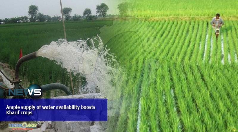 Ample supply of water availability boosts Kharif crops