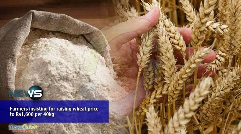 Farmers insisting for raising wheat price to Rs1,600 per 40kg