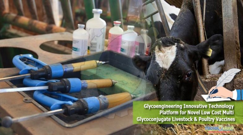 Glycoengineering Innovative Technology Platform for Novel Low Cost Multi Glycoconjugate Livestock & Poultry Vaccines