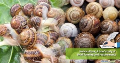 Heliciculture; A brief study of Snail farming and requirements