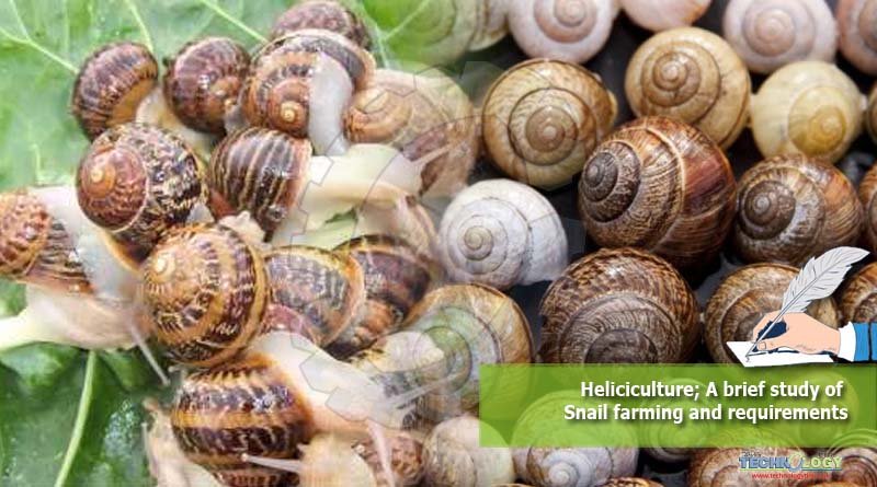 Heliciculture; A brief study of Snail farming and requirements