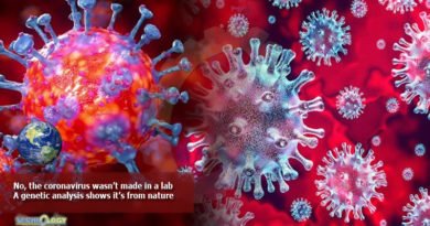 No-the-coronavirus-wasn’t-made-in-a-lab-A-genetic-analysis-shows-it’s-from-nature