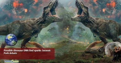 Possible-dinosaur-DNA-find-sparks-Jurassic-Park-debate
